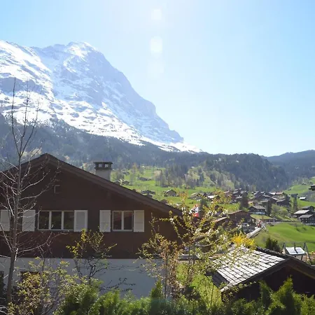 Dolphin New! Domek alpejski Grindelwald