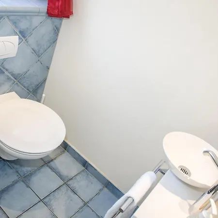 Dolphin New! 木屋 *