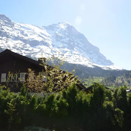 Domek alpejski Dolphin New!