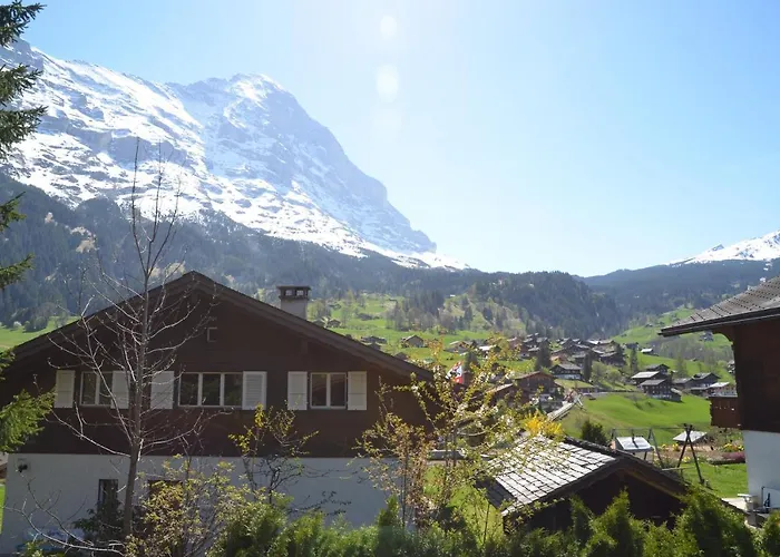 Dolphin New! Chalé Grindelwald