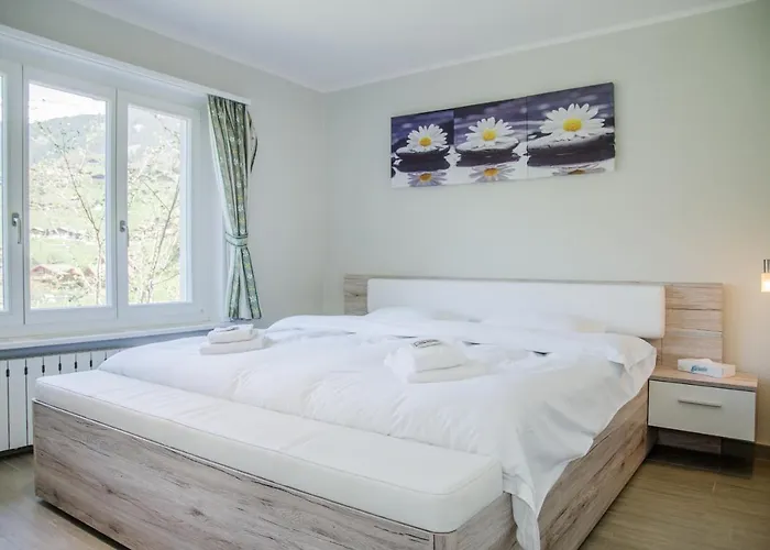 Dolphin New! Chalé *