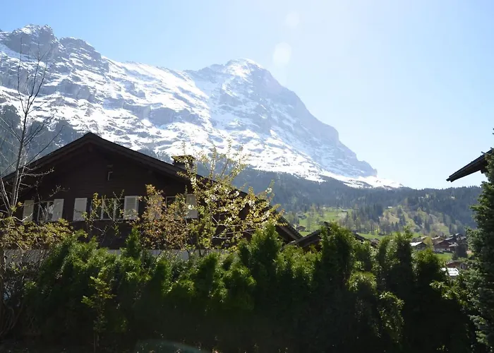 Alpehytte Dolphin New!