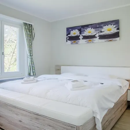 Dolphin New! 木屋 *